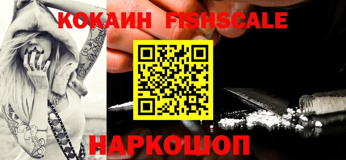 КОКАИН Fish Scale  где купить наркоту  Новозыбков  Вход с VPN 