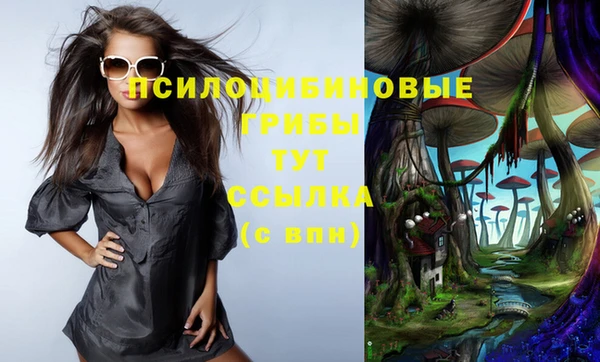 дмт Нефтекумск