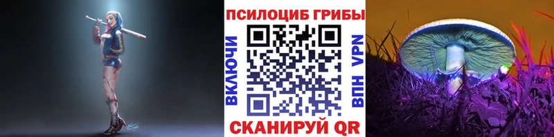 Псилоцибиновые грибы ЛСД  Новозыбков 