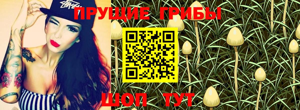 Псилоцибиновые грибы прущие грибы  как найти наркотики  Новозыбков 